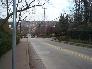 looking down Negley Avenue [click to enlarge]