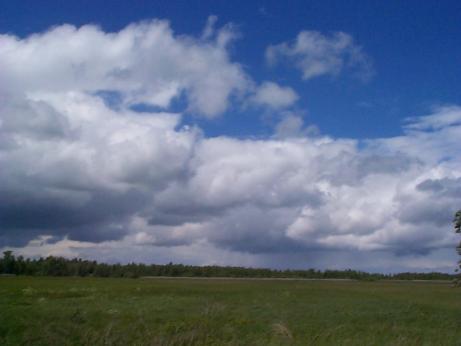 the countryside
