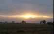 sun setting behind clouds with a silver lining [click to enlarge]