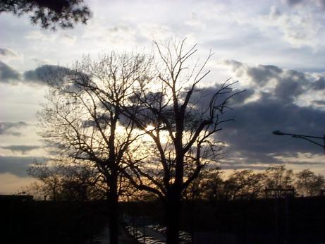 the sunset at URI