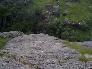 a rock [click to enlarge]